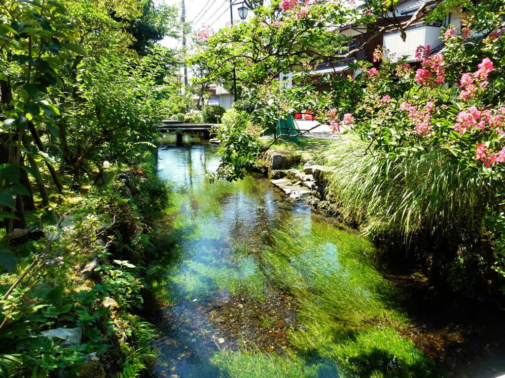 地蔵川の風景　２