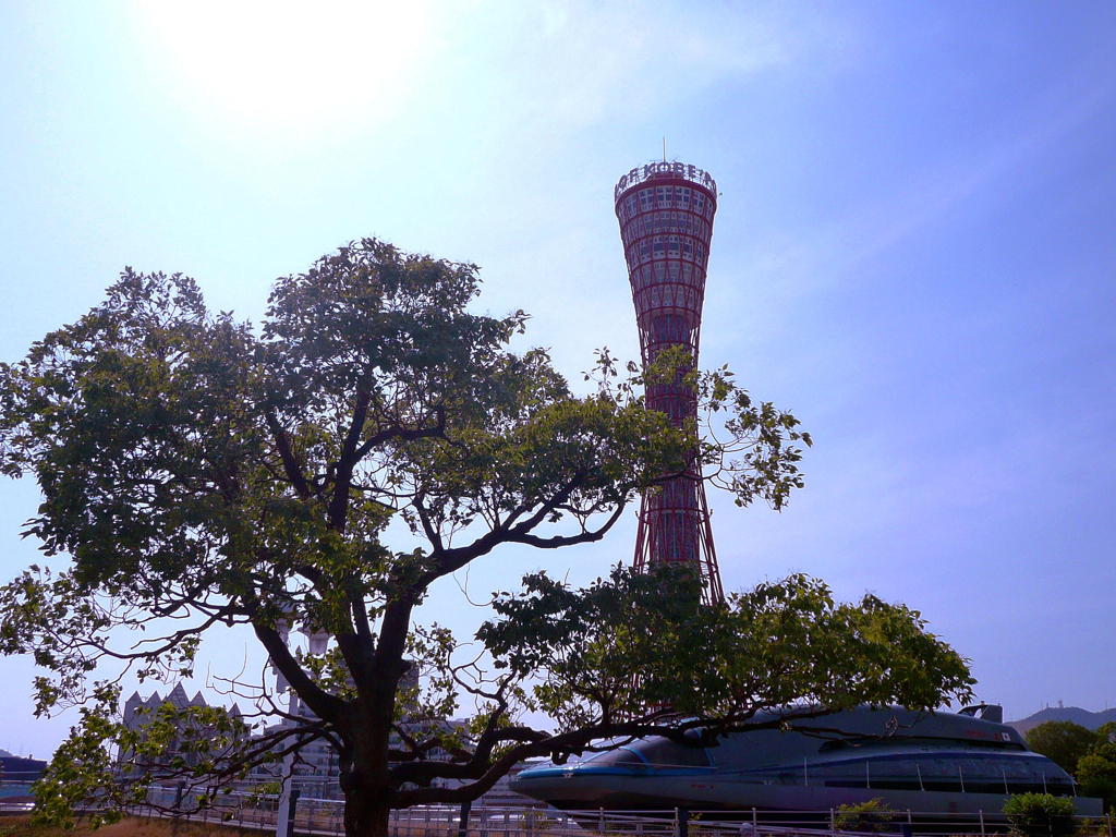 港町の止まり木