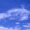 空飛ぶひよこ