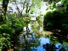 地蔵川の風景　３
