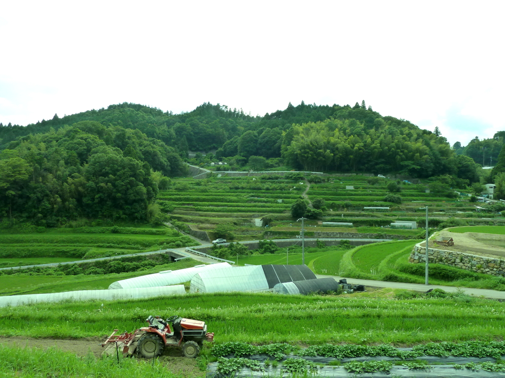 大阪の農村風景