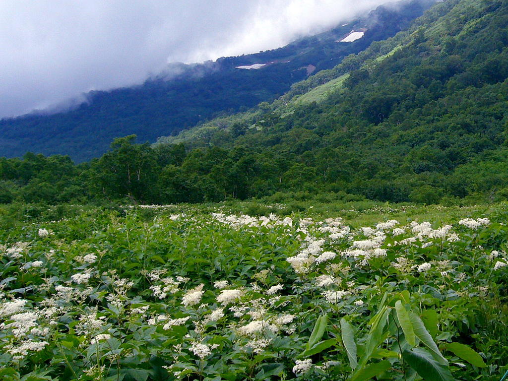 栂池自然園