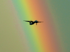 Fly to the Rainbow