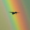 Fly to the Rainbow