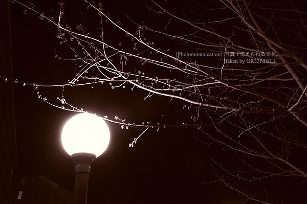in the dark
