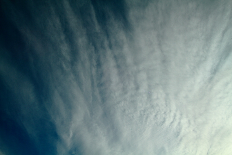 渋滞うわの空