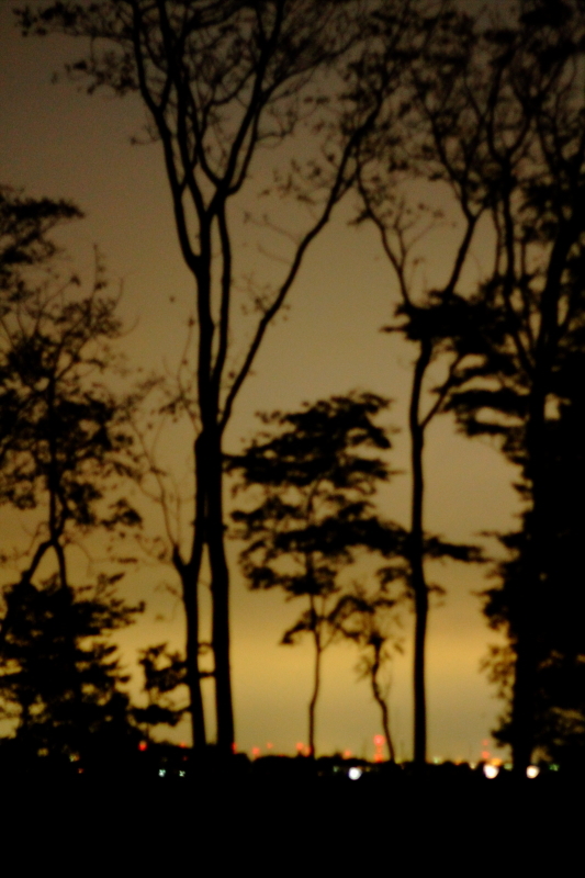 夕闇