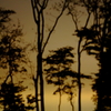 夕闇