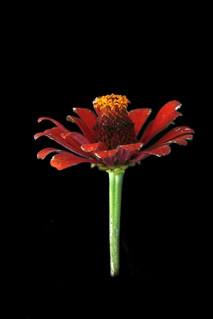 center