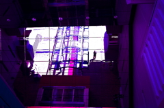 Purple Haze