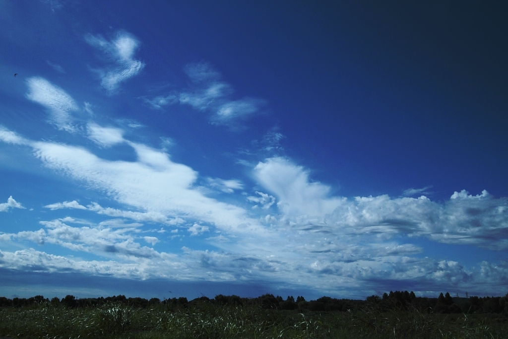 秋空