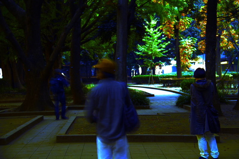 Walkin' da Park