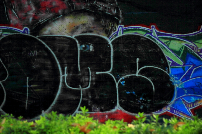 Fixed Focal
