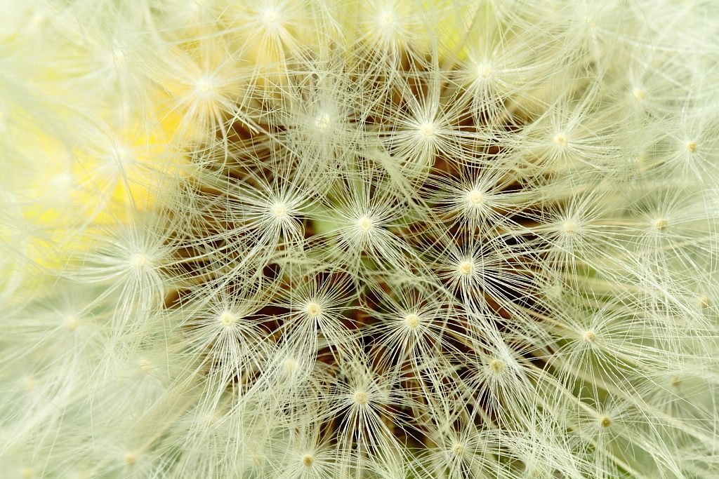WATAGE