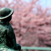 春霞2