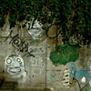 AOYM St.11