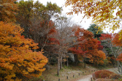 散歩道