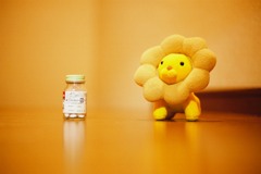 何とからいおんと風邪の薬