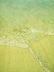 浜辺