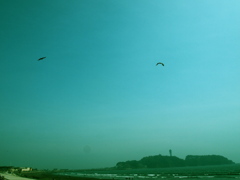 鵠沼海岸