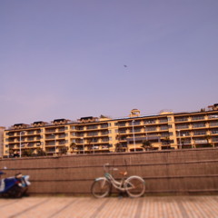 春の空
