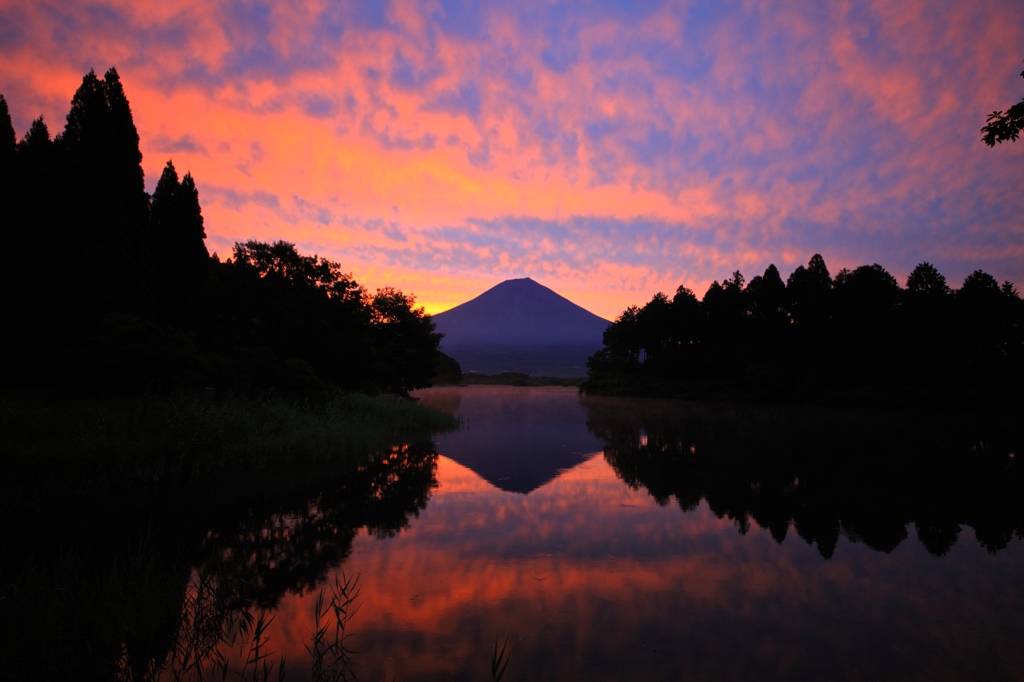 素晴らしい朝焼け