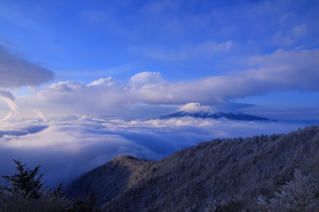 樹氷と雲海