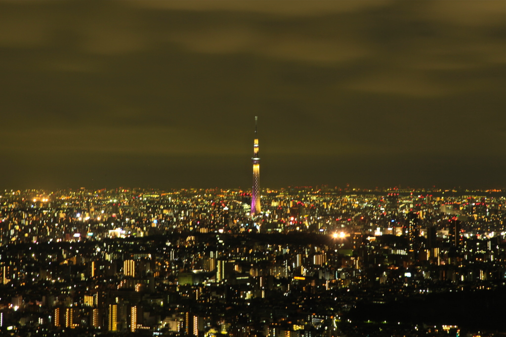 スカイツリーの夜景