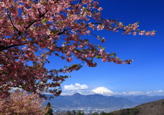 春うらら