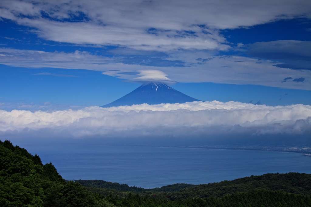 駿河湾に浮かぶ雲海富士