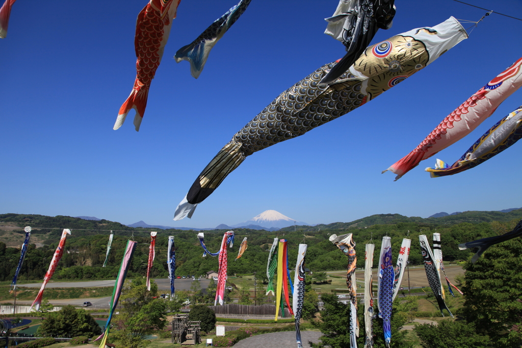 青空の鯉のぼり
