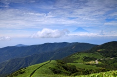 新緑の登山道