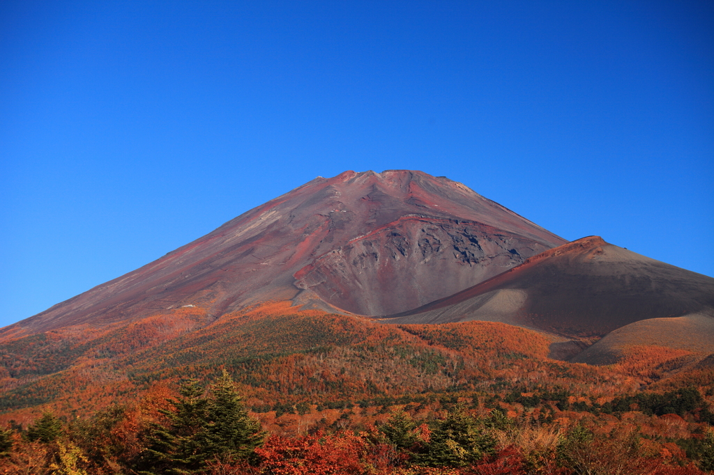 富士五合目の紅葉