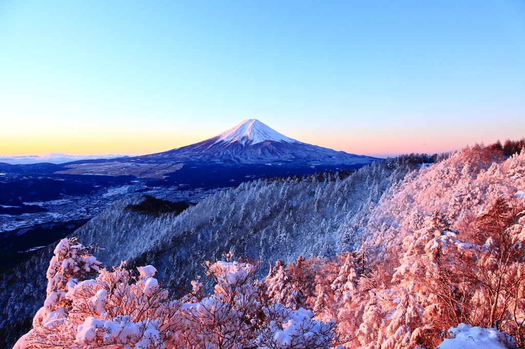 朝陽に色付く樹氷