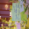 星に願いを・・・