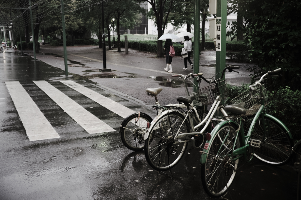rainy day #2