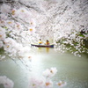 桜とボート