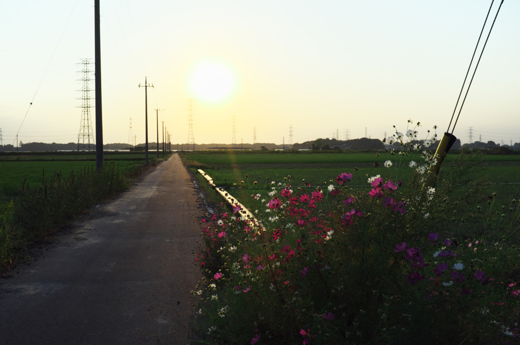 a boundary line