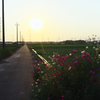 a boundary line