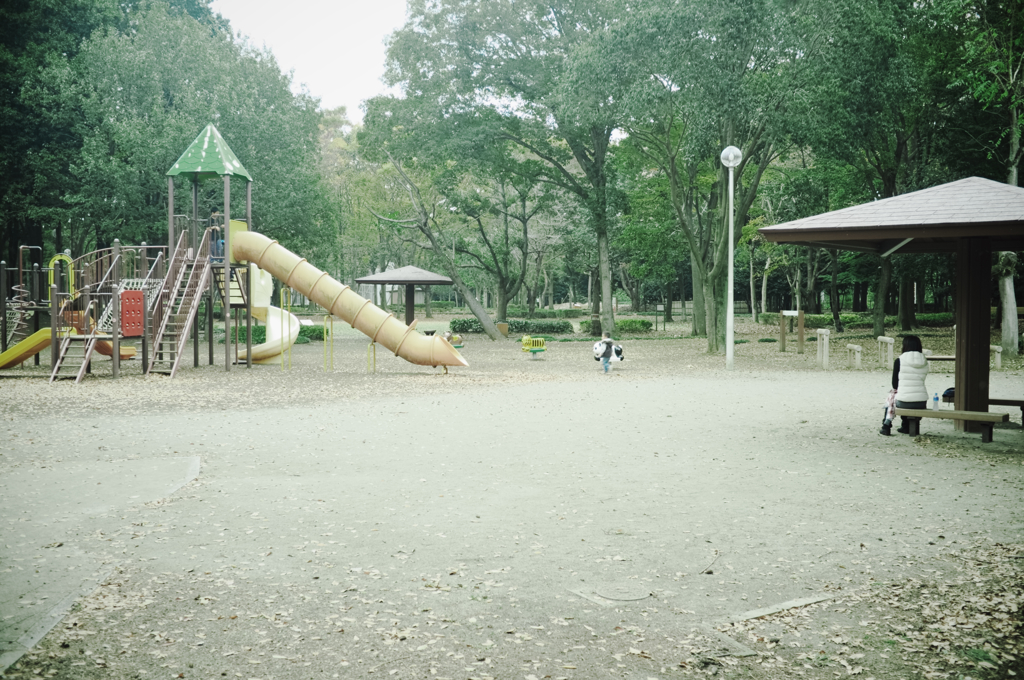 park