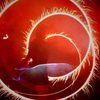 Ｔｈｅ　Ｓｕｎ