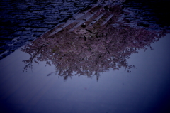 reverse face　Ⅱ