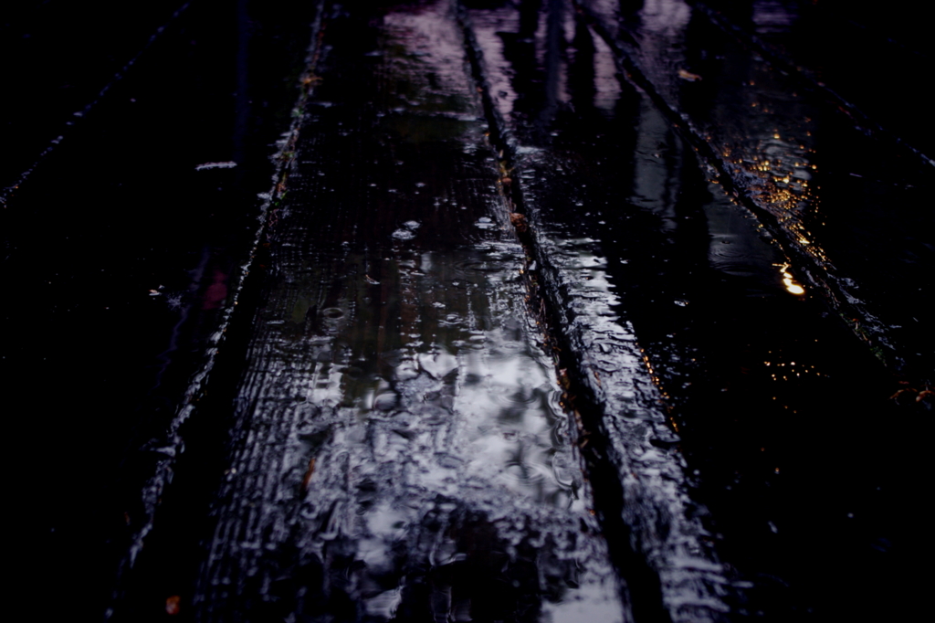 雨だね・・・