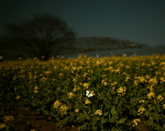 My Place