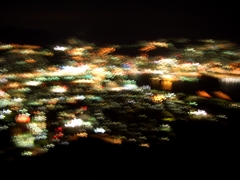 This picture is a little blurred.
