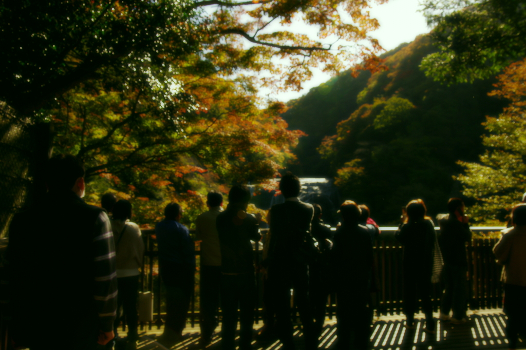 「秋麗」