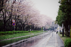 雨の日