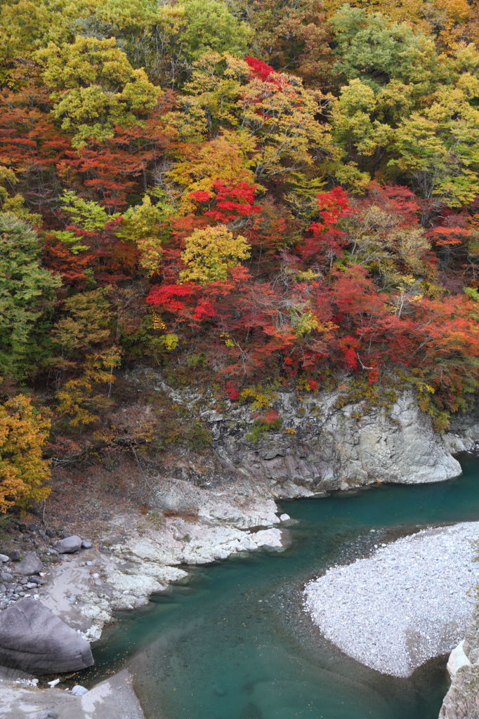 秋染まる清流