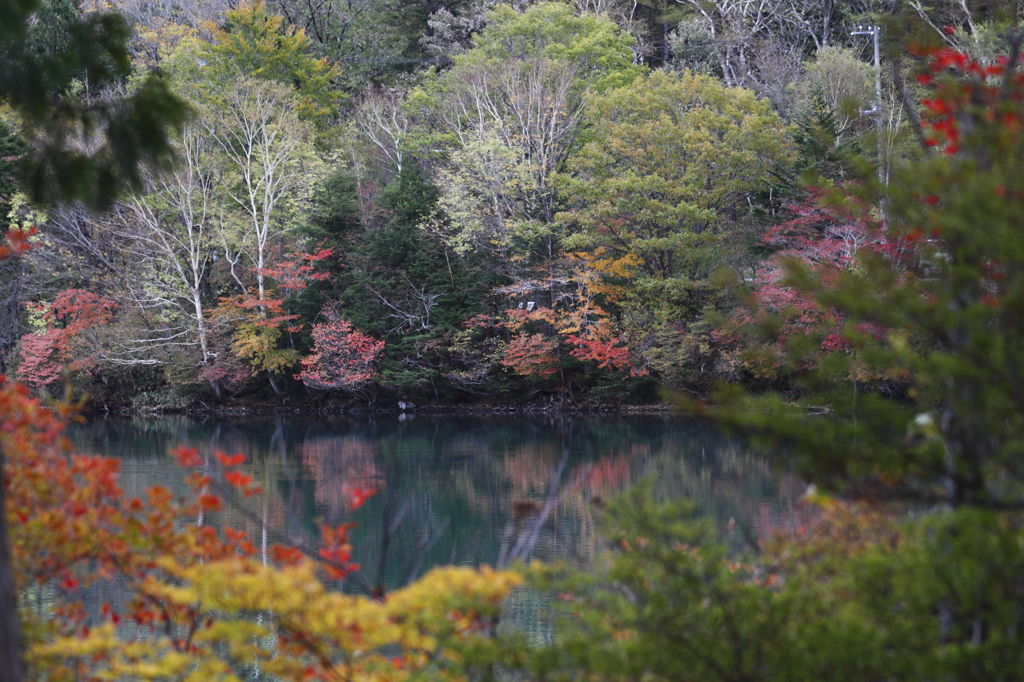 碧い湖