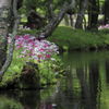 水辺の花園　Ⅱ